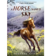 Greenwillow Books A Horse Named Sky
