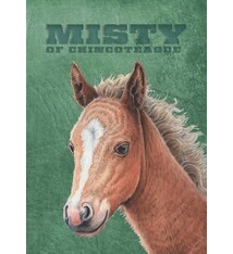 Aladdin Misty of Chincoteague: Special Edition