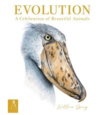Big Picture Press Evolution: A Celebration of Beautiful Animals