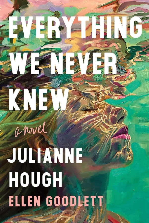 Sourcebooks Landmark Everything We Never Knew: A Novel