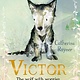 Boxer Books Victor, the Wolf with Worries