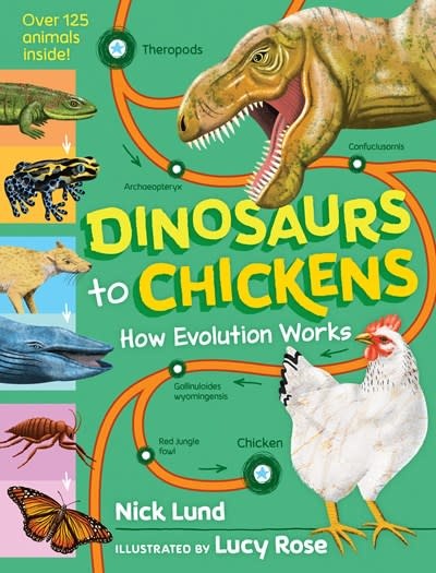 Workman Publishing Company Dinosaurs to Chickens: How Evolution Works