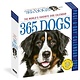 Workman Publishing Company 365 Dogs Page-A-Day® Calendar 2025: The World's Favorite Dog Calendar