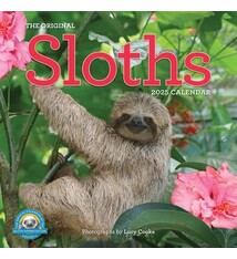 Workman Publishing Company Original Sloths Wall Calendar 2025: The Ultimate Experts at Slowing Down
