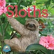 Workman Publishing Company Original Sloths Wall Calendar 2025: The Ultimate Experts at Slowing Down