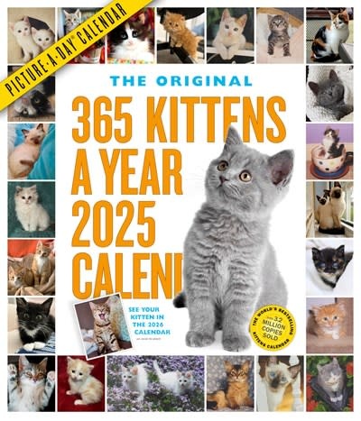 Workman Publishing Company 365 Kittens-A-Year Picture-A-Day® Wall Calendar 2025: Absolutely Spilling Over With Kittens