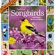Workman Publishing Company Audubon Songbirds and Other Backyard Birds Picture-A-Day® Wall Calendar 2025: A Beautiful Bird Filled Way to Keep Track of 2025