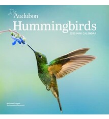 Workman Publishing Company Audubon Hummingbirds Mini Wall Calendar 2025