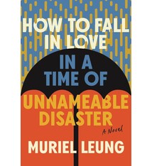 How to Fall in Love in a Time of Unnameable Disaster: A Novel