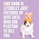 This Book is Literally Just Pictures of Cute Cats Who Are Plotting to Kill You