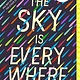 Dial Books The Sky Is Everywhere