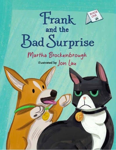Levine Querido Frank and the Bad Surprise