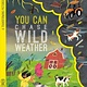 YOU CAN Chase Wild Weather