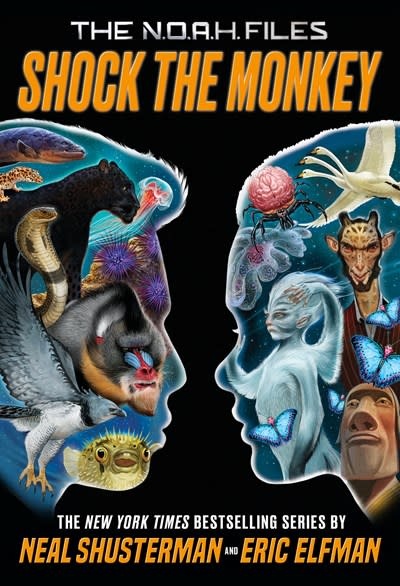 Little, Brown Books for Young Readers Shock the Monkey