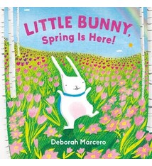 G.P. Putnam's Sons Books for Young Readers Little Bunny, Spring Is Here!