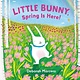 G.P. Putnam's Sons Books for Young Readers Little Bunny, Spring Is Here!