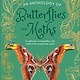 DK Children An Anthology of Butterflies and Moths: A Collection of Butterflies and Moths from Around the World