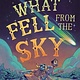 Farrar, Straus and Giroux (BYR) What Fell from the Sky