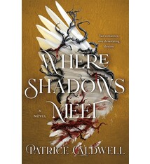 Wednesday Books Where Shadows Meet: A Novel