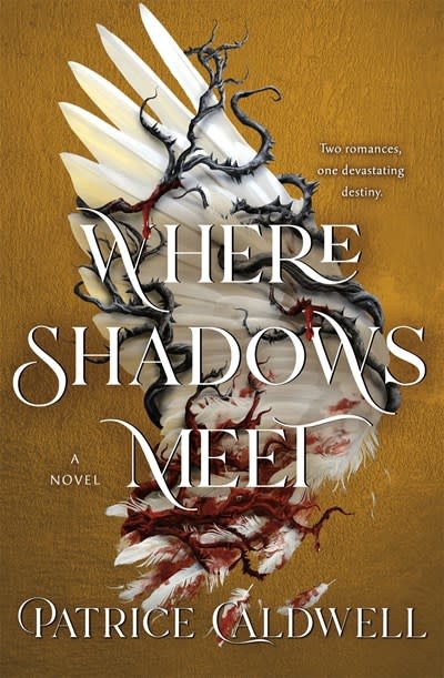Wednesday Books Where Shadows Meet: A Novel