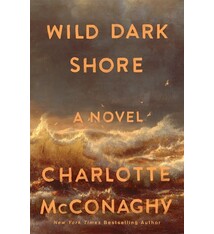 Flatiron Books Wild Dark Shore: A Novel