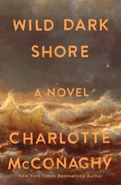 Flatiron Books Wild Dark Shore: A Novel