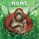 Bloomsbury Children's Books Finding Home: Amazing Places Animals Live
