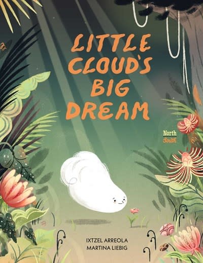 NorthSouth Books Little Cloud's Big Dream