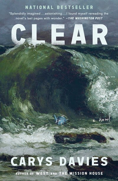 Scribner Clear: A Novel