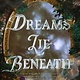 Quill Tree Books Dreams Lie Beneath