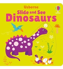Usborne Slide and See Dinosaurs