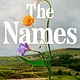 Pamela Dorman Books The Names: A Novel