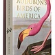 Abbeville Press Audubon's Birds of America: An Abbeville Notecard Set