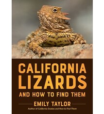 Heyday California Lizards and How to Find Them