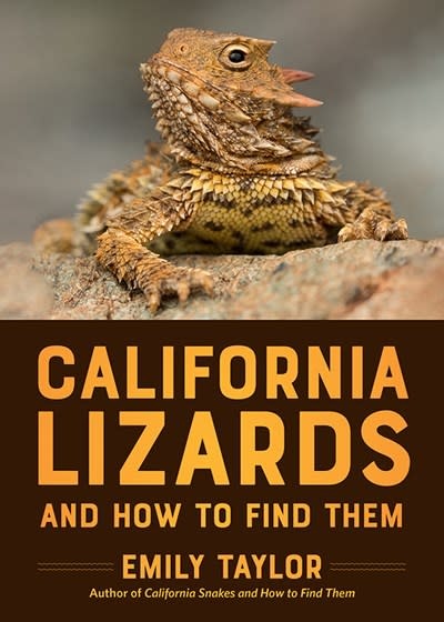 Heyday California Lizards and How to Find Them