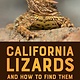 Heyday California Lizards and How to Find Them
