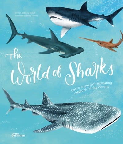 Little Gestalten The World of Sharks: Get to know the fascinating creatures of the oceans