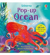 Usborne Pop-up Ocean