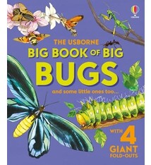 Usborne Big Book of Big Bugs