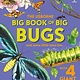 Usborne Big Book of Big Bugs