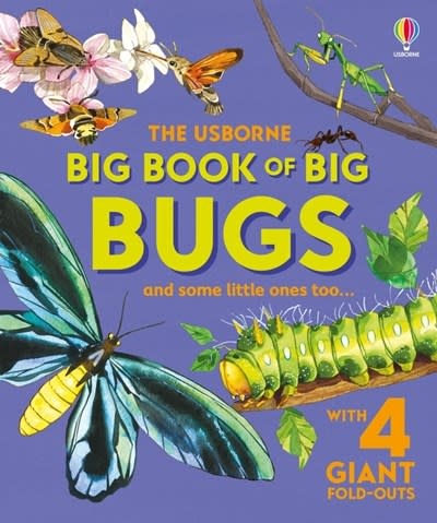Usborne Big Book of Big Bugs