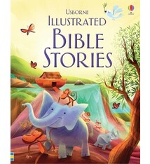 Usborne Illustrated Bible Stories
