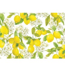 Amalfi Lemons Note Cards (Set of 14)