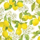 Amalfi Lemons Note Cards (Set of 14)
