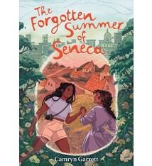 Amulet Books The Forgotten Summer of Seneca: A Novel
