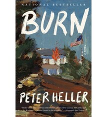 Vintage Burn: A Novel