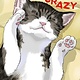 Cat + Crazy Volume 1