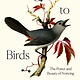 Crown Turning to Birds: The Power and Beauty of Noticing