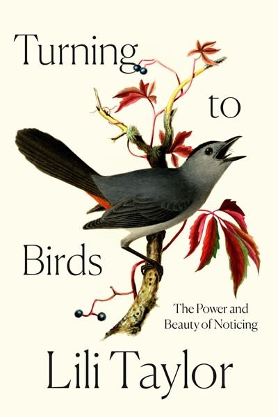 Crown Turning to Birds: The Power and Beauty of Noticing