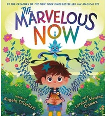 Little, Brown Books for Young Readers The Marvelous Now